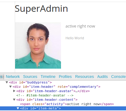 Hacking BuddyPress